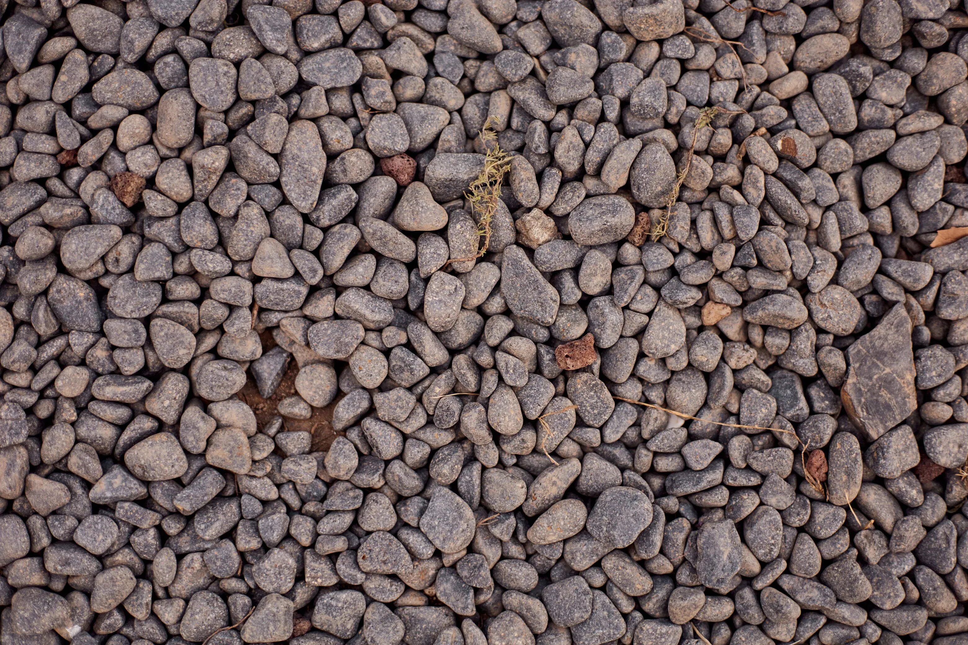 Decorative gravel and hard landscaping area